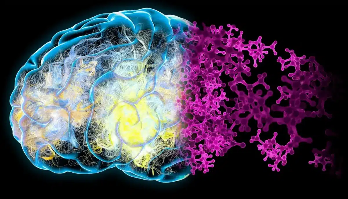 Demenz verhindern ohne Medikamente? Dieser Ernährungs-Trick sorgt für Aufsehen