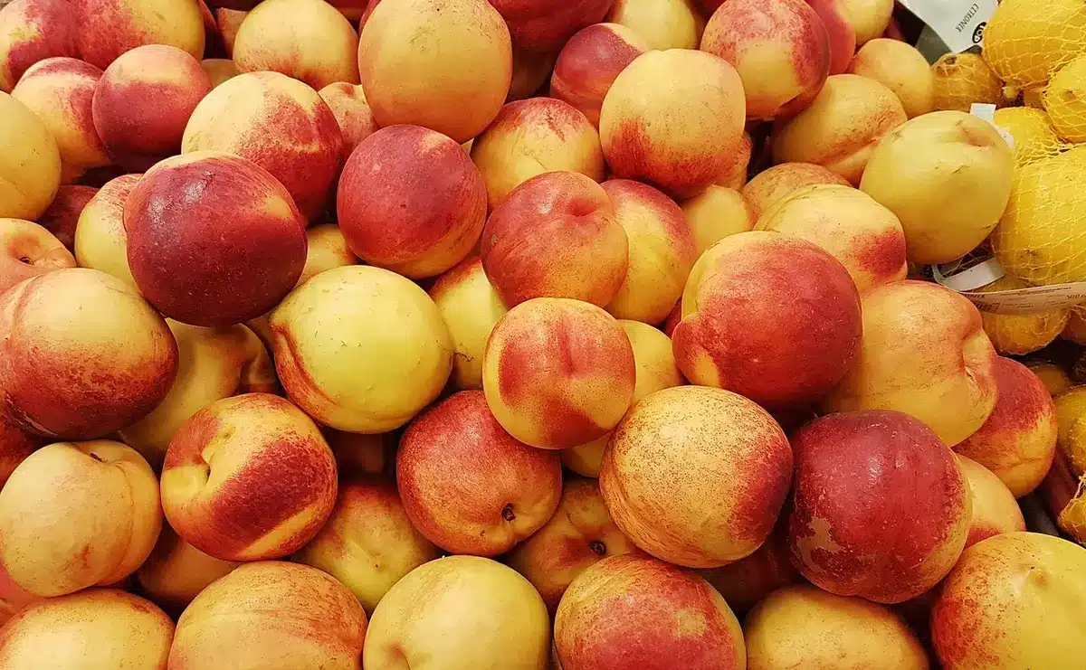 Grafische Darstellung von Ernährung, Stoffwechsel und Entzündung