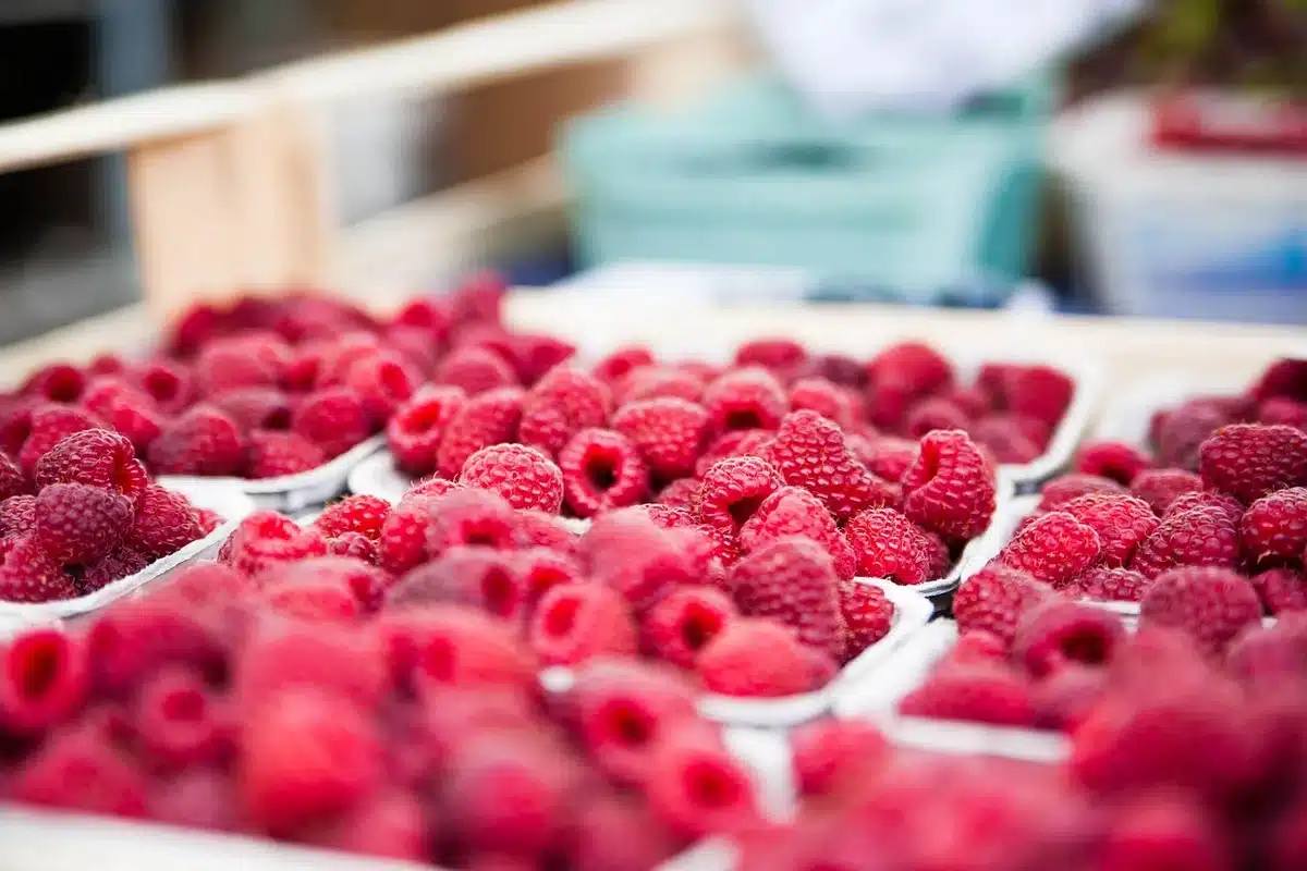 Vorgeschnittenes Obst in durchsichtigen Behältern ordentlich im Kühlschrank